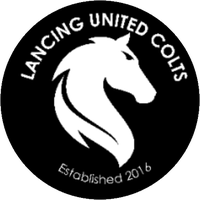 Lancing United Colts crest
