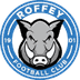 Roffey FC U18s crest